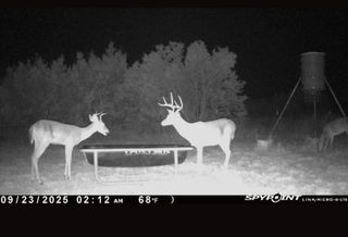 542 Co Rd 2275 RD, Lampasas, TX 76550