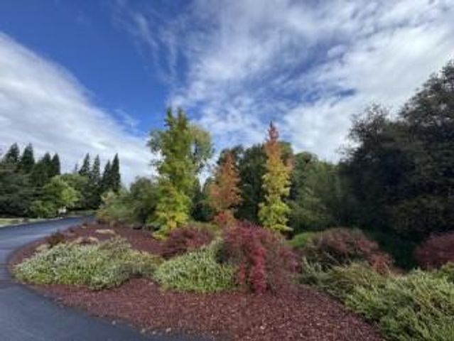 9260 Miners Xing, Loomis, CA 95650