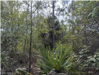 xxxx 52nd AVE NE, Naples, FL 34120