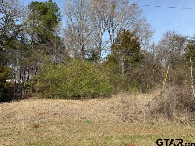 499 Crockett St, Bullard, TX 75757