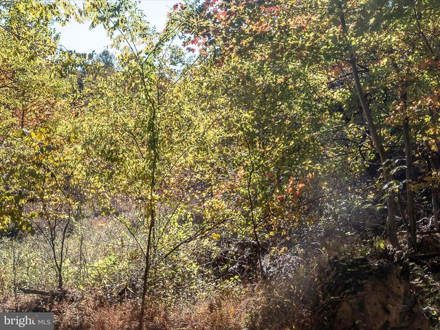 TUSCARORA PIKE PARCEL 13, Hedgesville, WV 25427