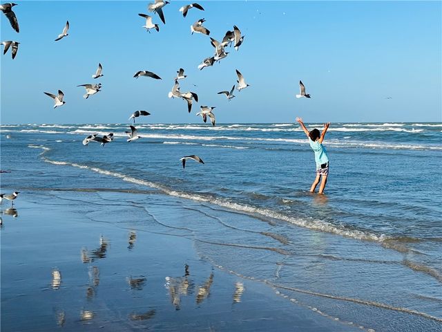 7477 State Highway 361 107, Port Aransas, TX 78373