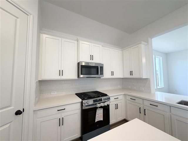 17611 Lavendar Blossom Lane, Hockley, TX 77447