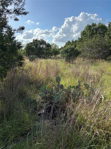 1200 Cave Springs DR, Wimberley, TX 78676