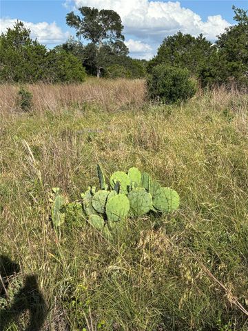 1200 Cave Springs DR, Wimberley, TX 78676