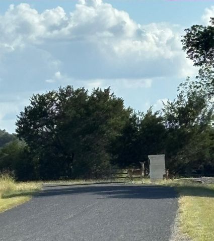 1200 Cave Springs DR, Wimberley, TX 78676