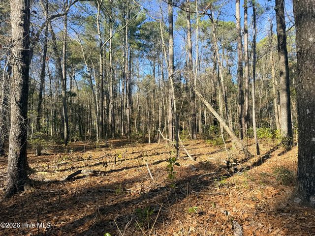 Lot 7 Peach Court, Burgaw, NC 28425