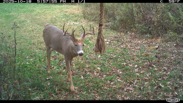 N23415 Oak Ridge DRIVE, Galesville, WI 54630