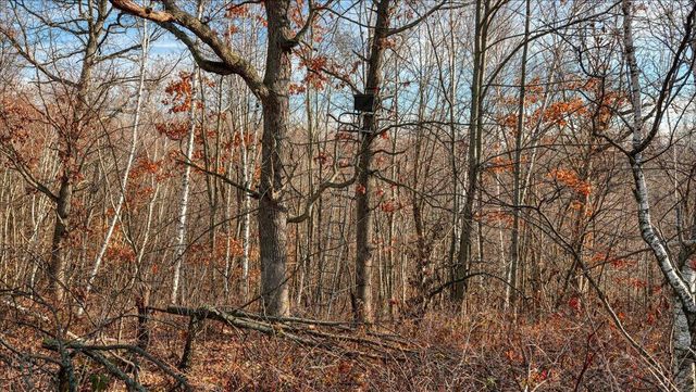 N23415 Oak Ridge DRIVE, Galesville, WI 54630