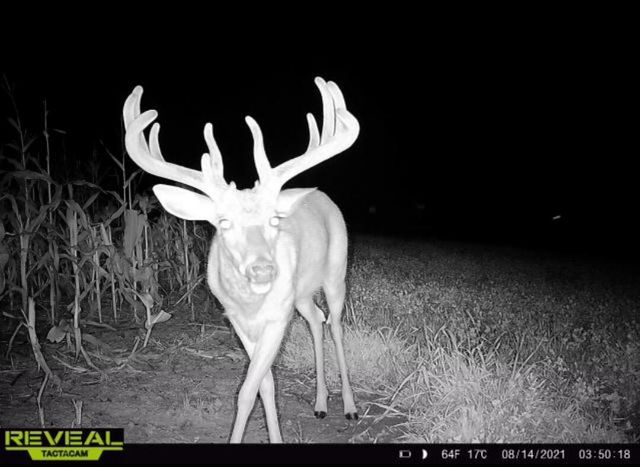 N23415 Oak Ridge DRIVE, Galesville, WI 54630