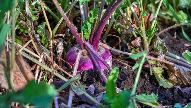 N23415 Oak Ridge DRIVE, Galesville, WI 54630