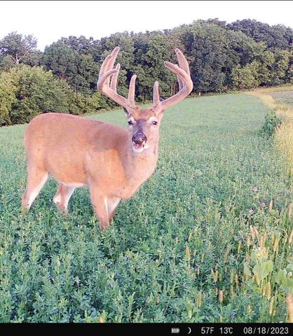 N23415 Oak Ridge DRIVE, Galesville, WI 54630