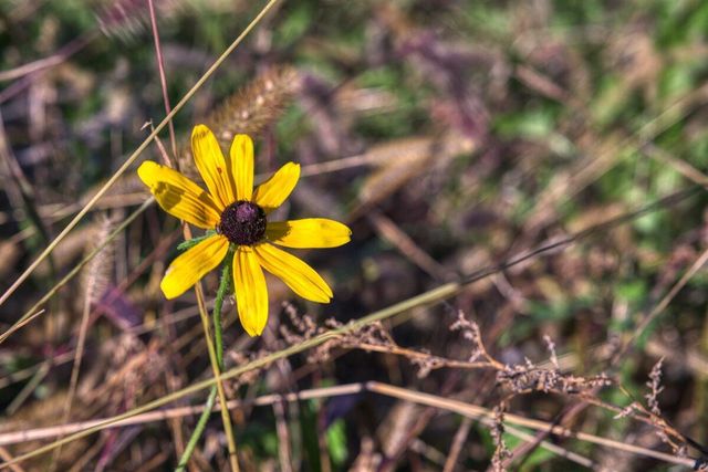 N23415 Oak Ridge DRIVE, Galesville, WI 54630