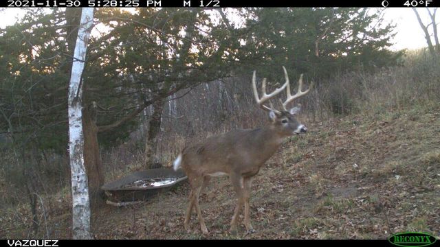 N23415 Oak Ridge DRIVE, Galesville, WI 54630