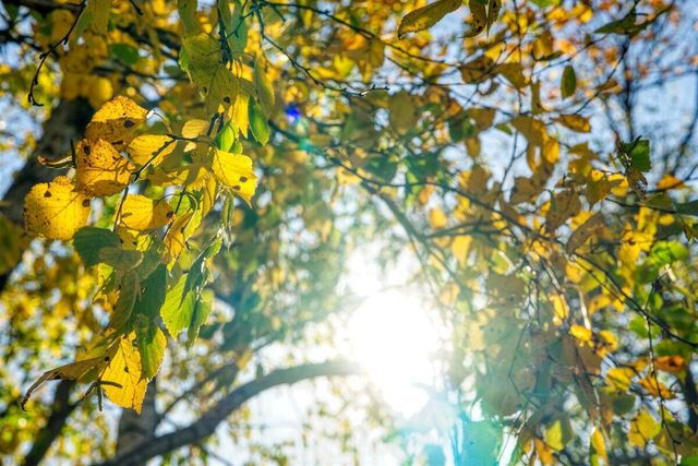 N23415 Oak Ridge DRIVE, Galesville, WI 54630