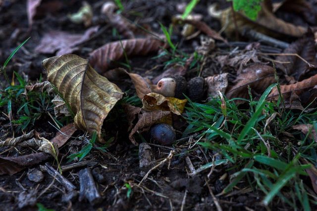 N23415 Oak Ridge DRIVE, Galesville, WI 54630