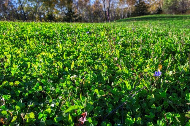 N23415 Oak Ridge DRIVE, Galesville, WI 54630