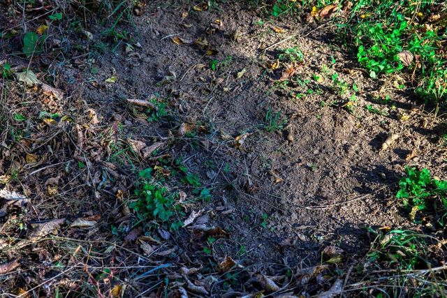 N23415 Oak Ridge DRIVE, Galesville, WI 54630