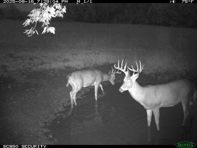 N23415 Oak Ridge DRIVE, Galesville, WI 54630