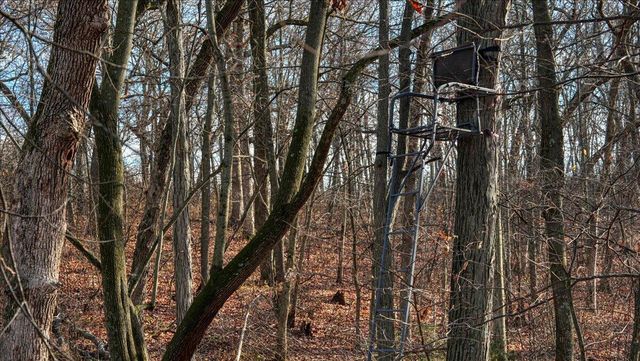 N23415 Oak Ridge DRIVE, Galesville, WI 54630