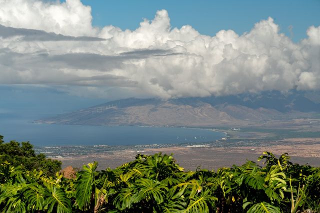 7850 Kula Hwy, Kula, HI 96790