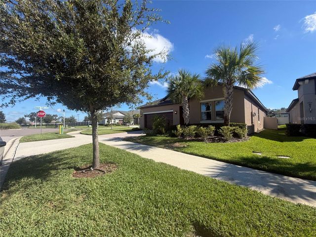 31351 CANNON RUSH DRIVE, San Antonio, FL 33576