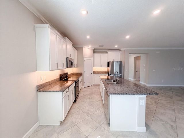 31351 CANNON RUSH DRIVE, San Antonio, FL 33576