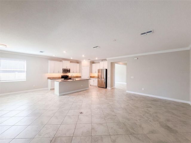 31351 CANNON RUSH DRIVE, San Antonio, FL 33576