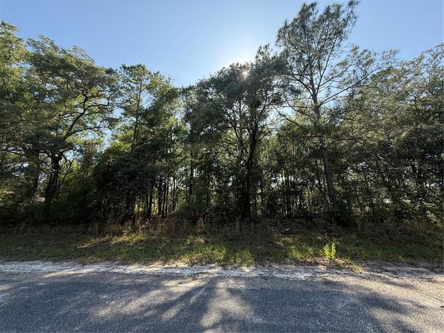 10578 N ALLWOOD TERRACE, Citrus Springs, FL 34434