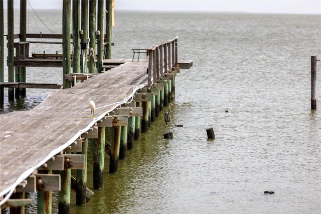 1917 Avenue A, Dickinson, TX 77539