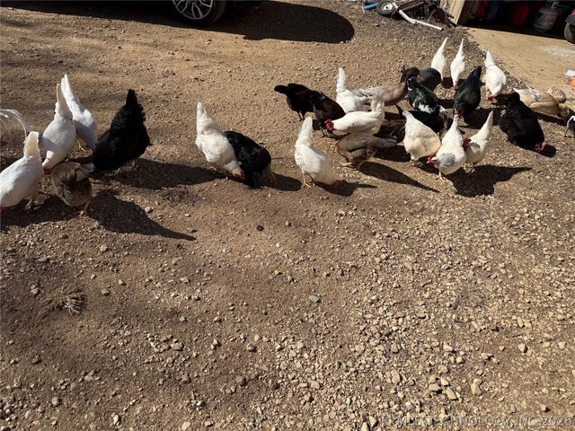 4859 1700 Road, Sulphur, OK 73086