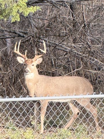 4859 1700 Road, Sulphur, OK 73086