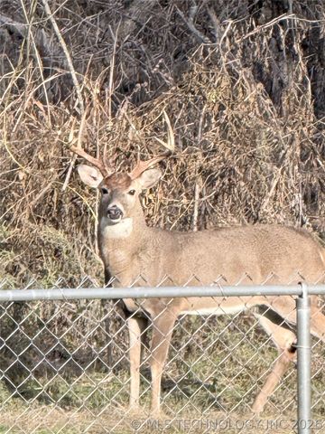 4859 1700 Road, Sulphur, OK 73086