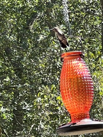 4859 1700 Road, Sulphur, OK 73086