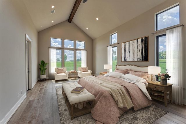 2306 Iris Cove Court, Hockley, TX 77447