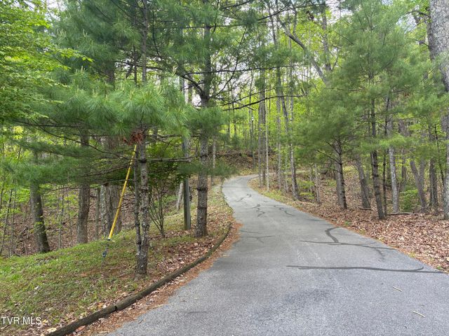 240 Misty Lane, Unicoi, TN 37692
