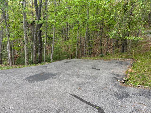 240 Misty Lane, Unicoi, TN 37692