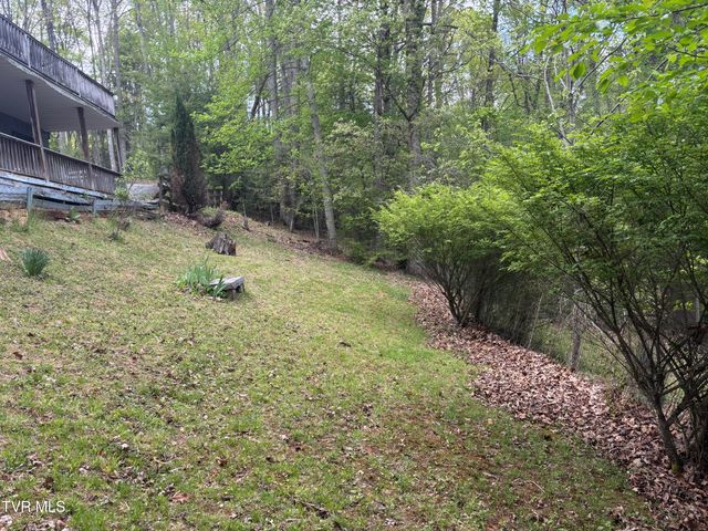 240 Misty Lane, Unicoi, TN 37692