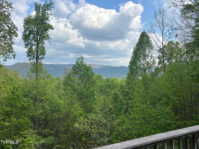 240 Misty Lane, Unicoi, TN 37692