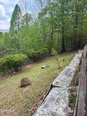 240 Misty Lane, Unicoi, TN 37692