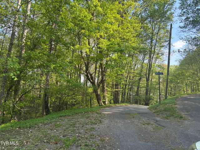 240 Misty Lane, Unicoi, TN 37692