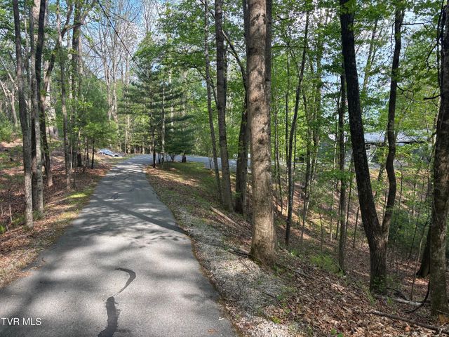 240 Misty Lane, Unicoi, TN 37692
