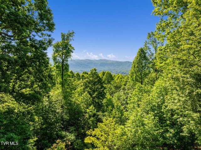 240 Misty Lane, Unicoi, TN 37692