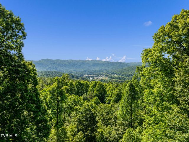 240 Misty Lane, Unicoi, TN 37692