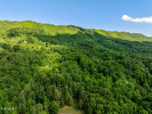 240 Misty Lane, Unicoi, TN 37692