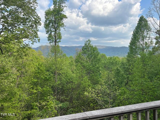 240 Misty Lane, Unicoi, TN 37692
