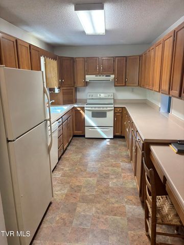 240 Misty Lane, Unicoi, TN 37692