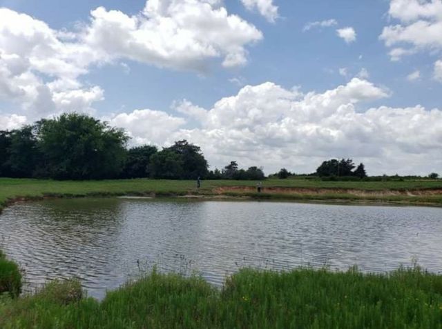 205 Farm to Market Road 373 North, St Jo, TX 76265