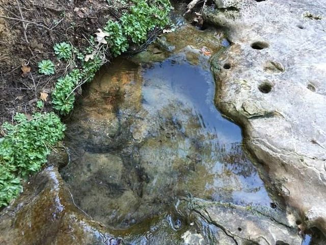 205 Farm to Market Road 373 North, St Jo, TX 76265