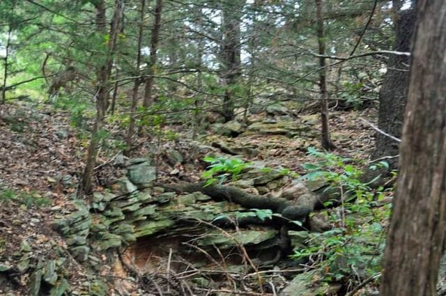 205 Farm to Market Road 373 North, St Jo, TX 76265